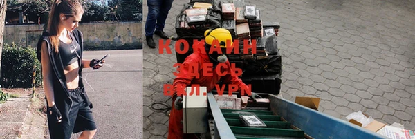 прущая мука Алзамай